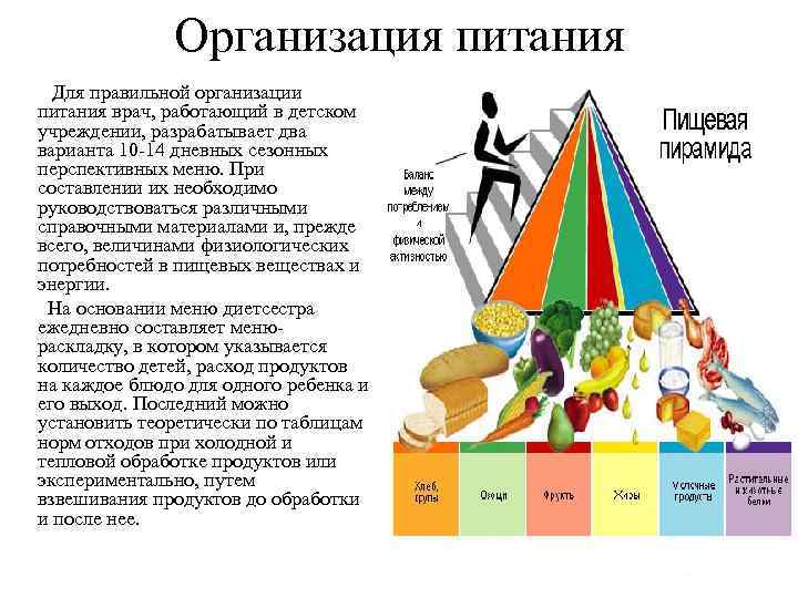 Организация питания Для правильной организации питания врач, работающий в детском учреждении, разрабатывает два варианта