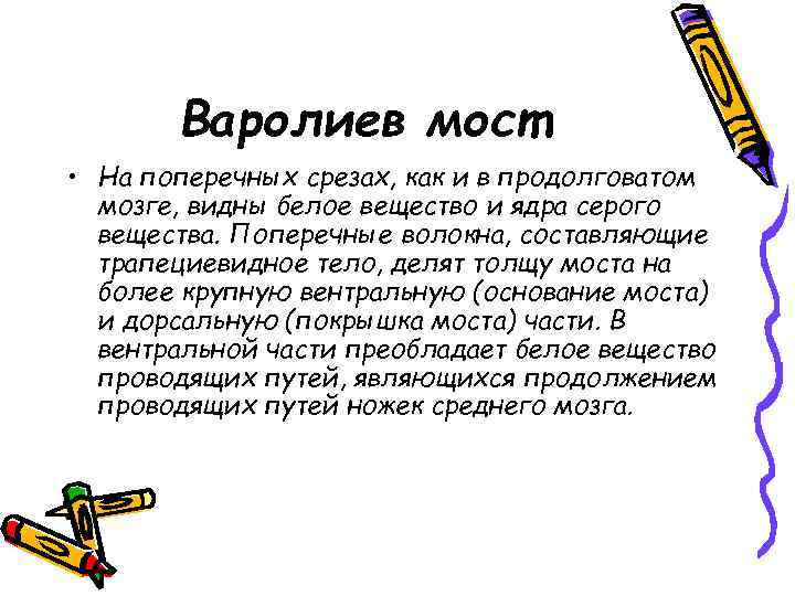 Варолиев мост • На поперечных срезах, как и в продолговатом мозге, видны белое вещество