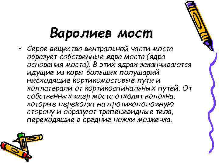 Варолиев мост • Серое вещество вентральной части моста образует собственные ядра моста (ядра основания