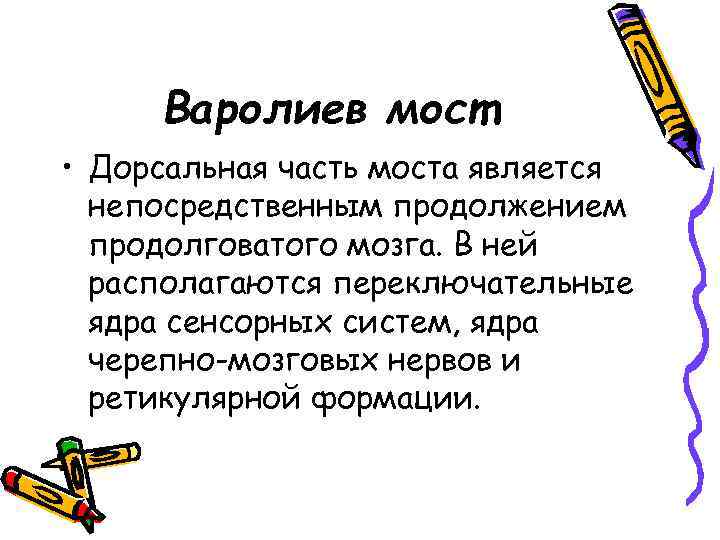 Варолиев мост • Дорсальная часть моста является непосредственным продолжением продолговатого мозга. В ней располагаются