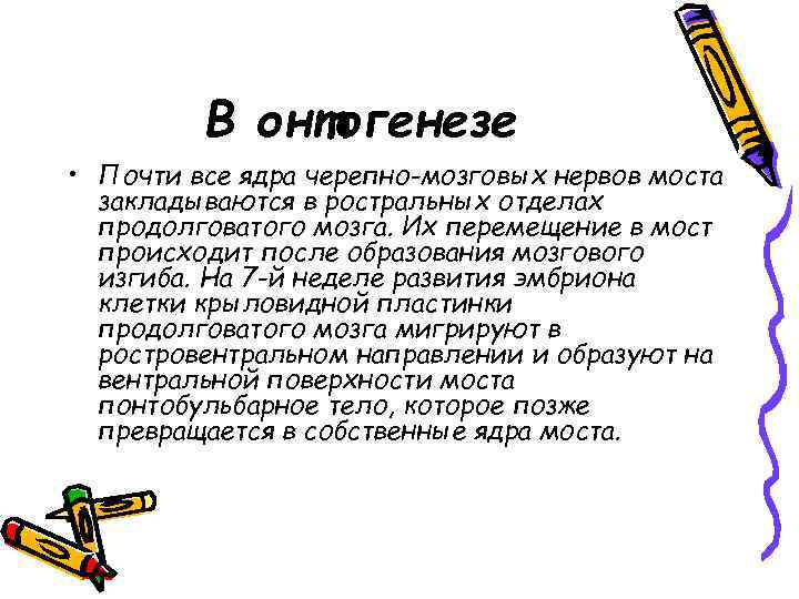 В онтогенезе • Почти все ядра черепно-мозговых нервов моста закладываются в ростральных отделах продолговатого