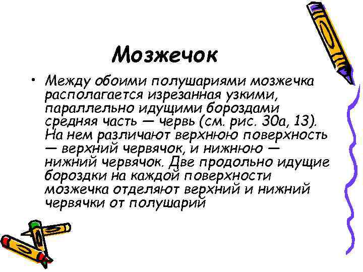 Мозжечок • Между обоими полушариями мозжечка располагается изрезанная узкими, параллельно идущими бороздами средняя часть