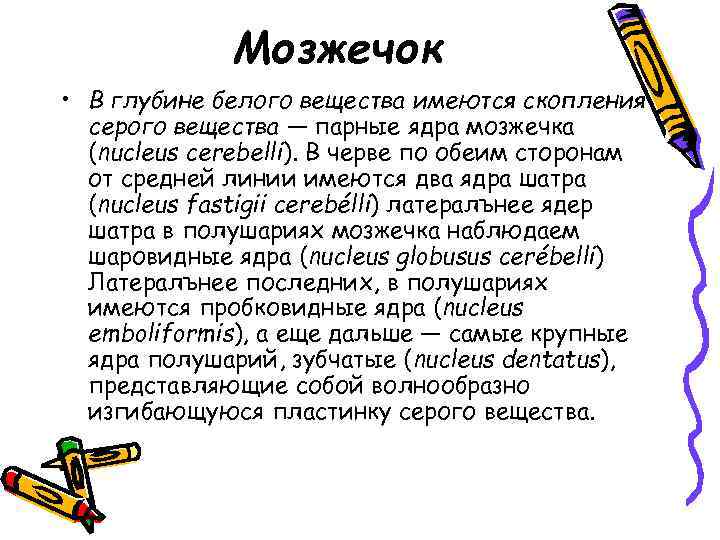 Мозжечок • В глубине белого вещества имеются скопления серого вещества — парные ядра мозжечка