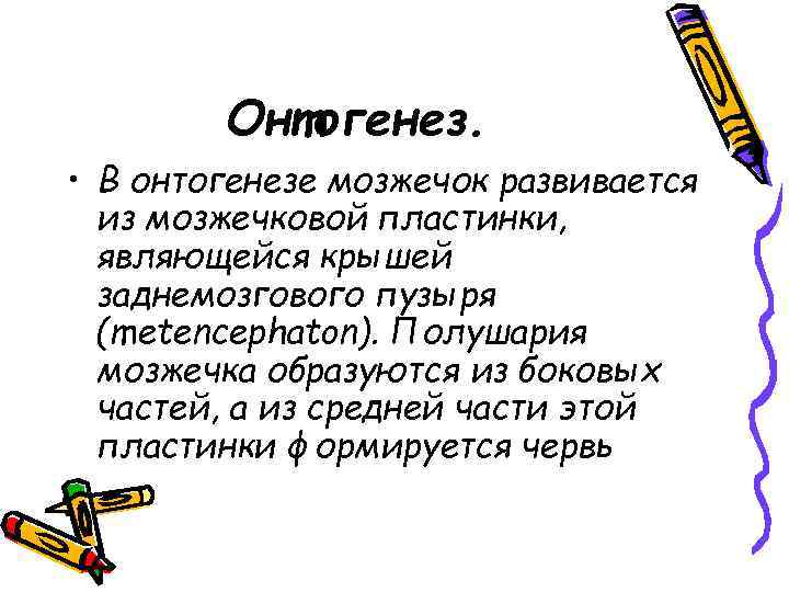 Онтогенез. • В онтогенезе мозжечок развивается из мозжечковой пластинки, являющейся крышей заднемозгового пузыря (metencephaton).