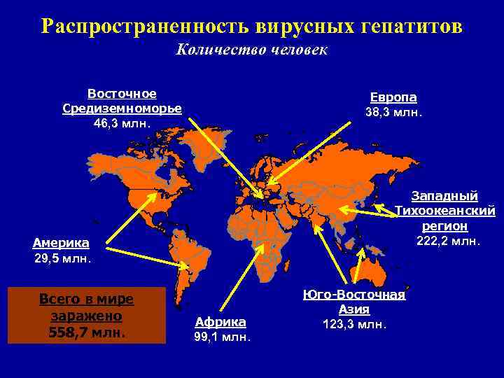 Распространенность вирусных гепатитов Количество человек Восточное Средиземноморье 46, 3 млн. Европа 38, 3 млн.