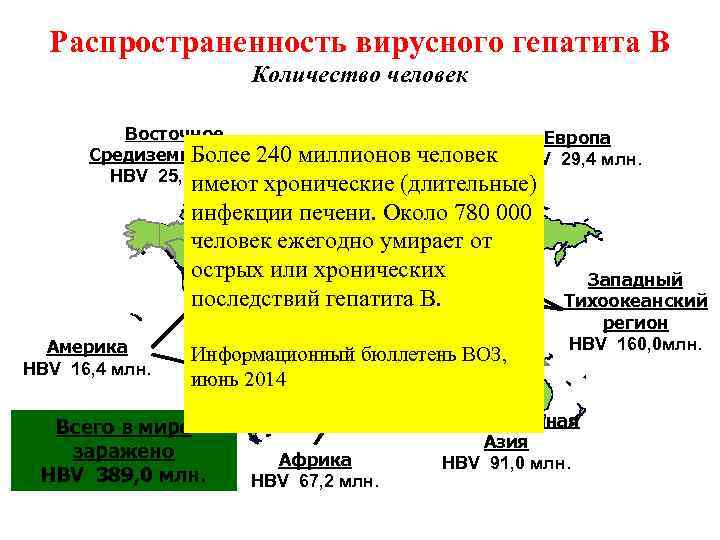 Распространенность вирусного гепатита B Количество человек Восточное Европа Средиземноморье Более 240 миллионов человек HBV