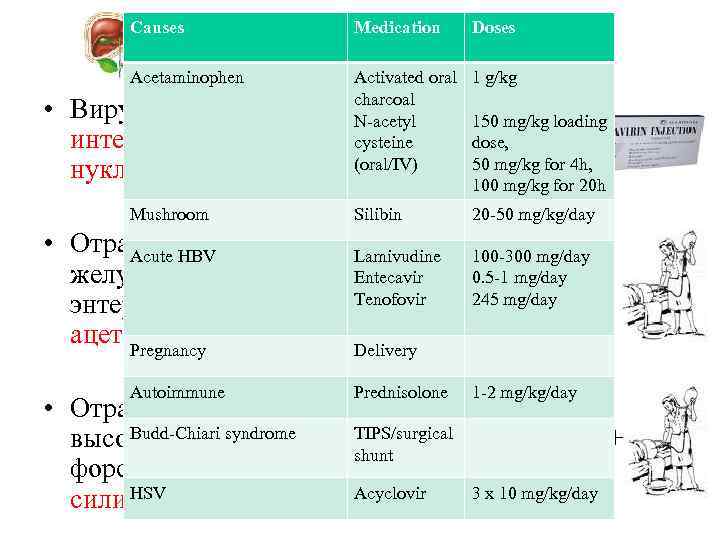 Causes • Medication Doses Этионаправленная терапия Acetaminophen Activated oral 1 g/kg charcoal Вирусные гепатиты