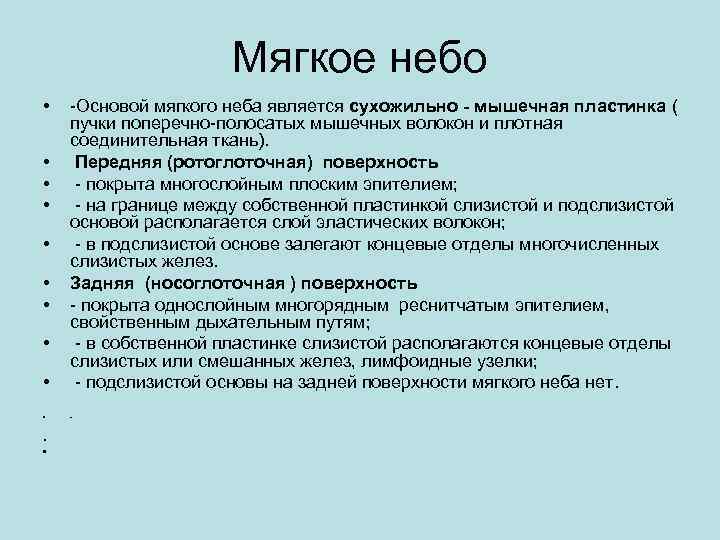 Мягкое небо • • -Основой мягкого неба является сухожильно - мышечная пластинка ( пучки