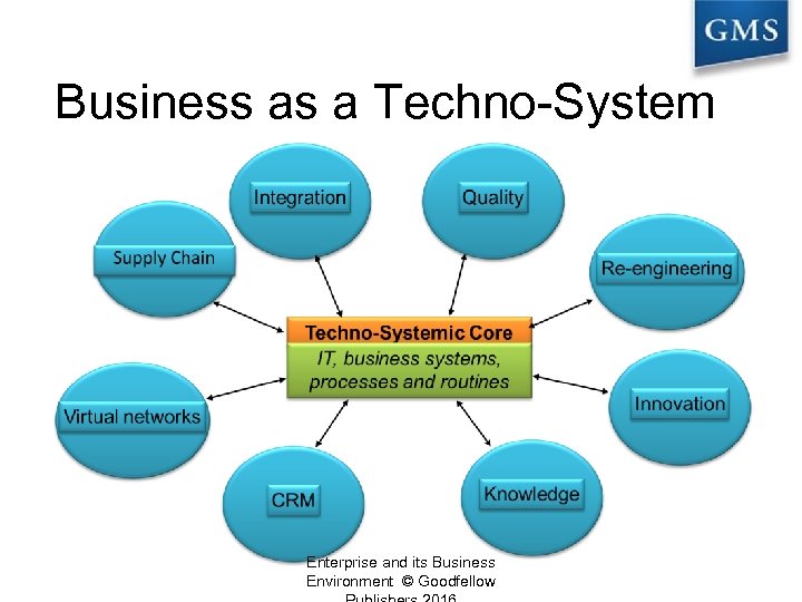 Business as a Techno-System Enterprise and its Business Environment © Goodfellow 