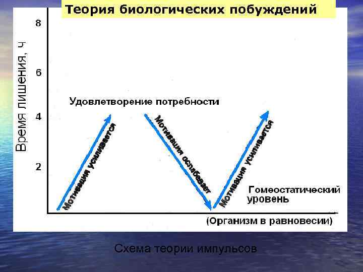 Теория биологических побуждений Схема теории импульсов 