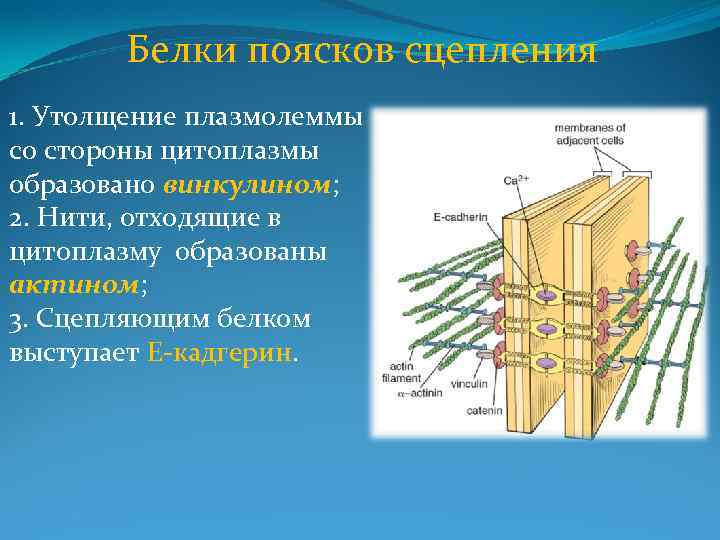 Плохая адгезия pla к столу