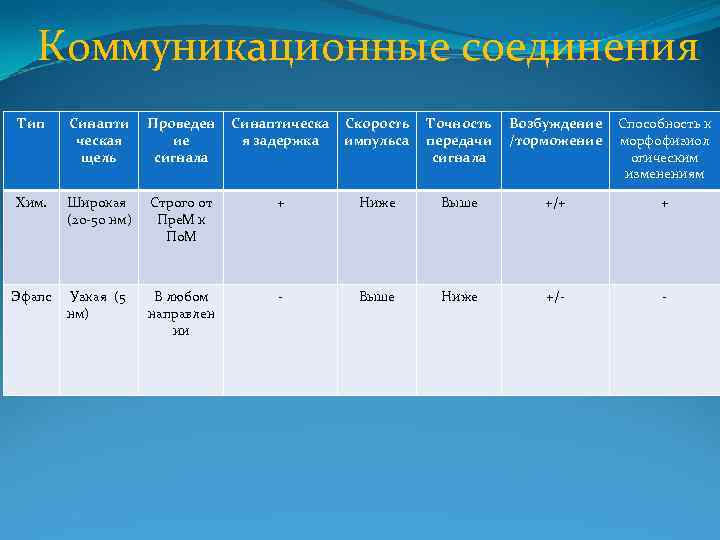 Коммуникационные соединения Тип Синапти ческая щель Проведен ие сигнала Синаптическа я задержка Скорость импульса