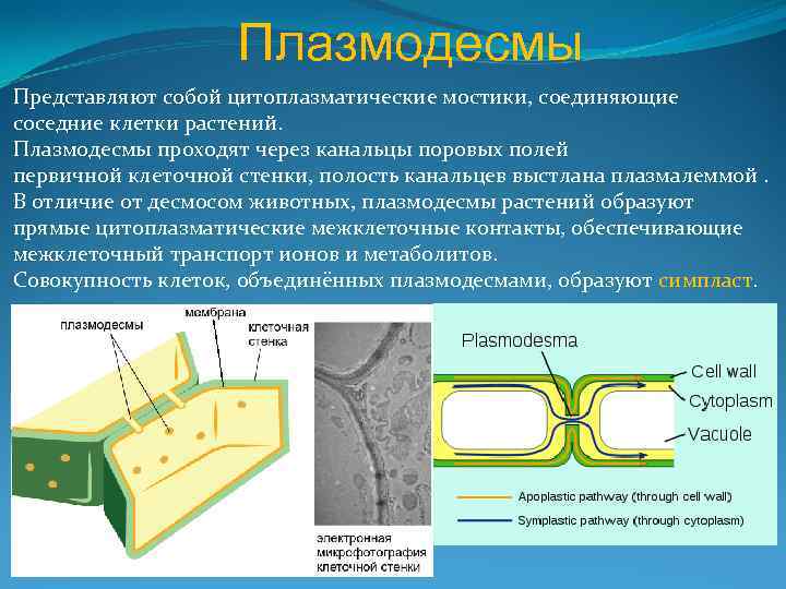 Адгезия нейлона к столу