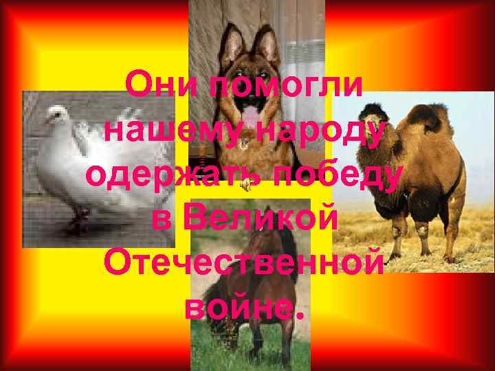 Они помогли нашему народу одержать победу в Великой Отечественной войне. 