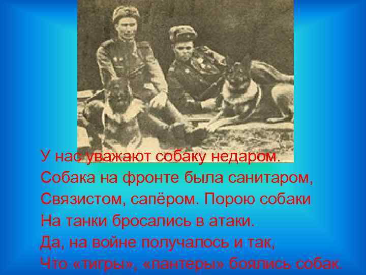 У нас уважают собаку недаром. Собака на фронте была санитаром, Связистом, сапёром. Порою собаки