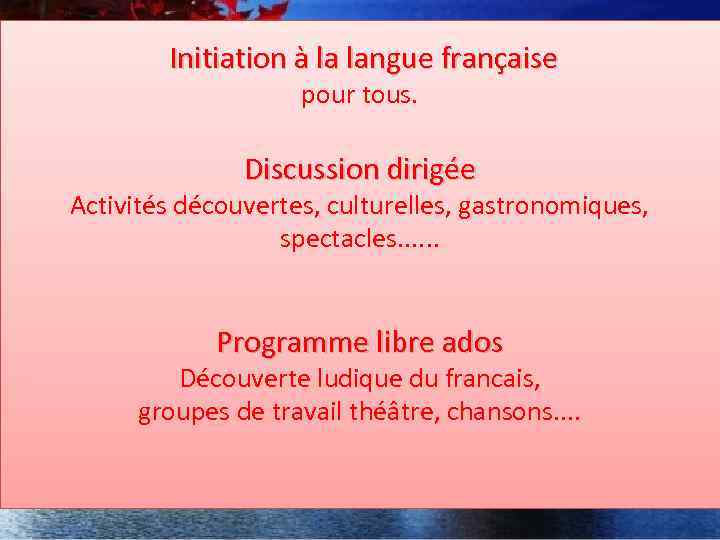  Initiation à la langue française pour tous. Discussion dirigée Activités découvertes, culturelles, gastronomiques,