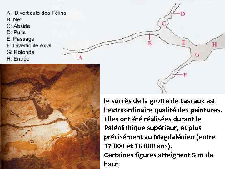 le succès de la grotte de Lascaux est l’extraordinaire qualité des peintures. Elles ont