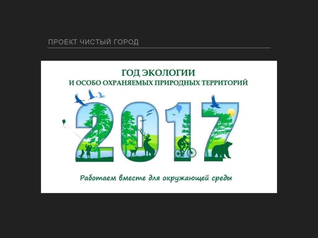 ПРОЕКТ ЧИСТЫЙ ГОРОД 