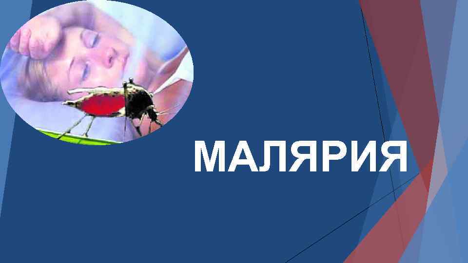 МАЛЯРИЯ 