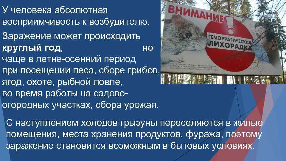 У человека абсолютная восприимчивость к возбудителю. Заражение может происходить круглый год, но чаще в