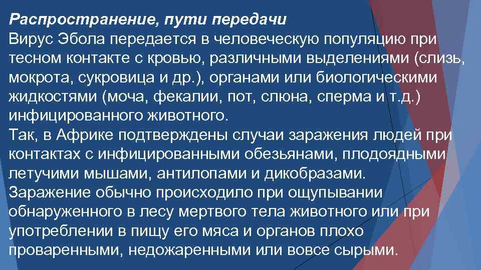 Распространение, пути передачи Вирус Эбола передается в человеческую популяцию при тесном контакте с кровью,