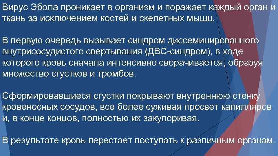 Вирус Эбола проникает в организм и поражает каждый орган и ткань за исключением костей