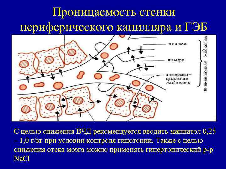 Проницаемость стенки периферического капилляра и ГЭБ С целью снижения ВЧД рекомендуется вводить маннитол 0,