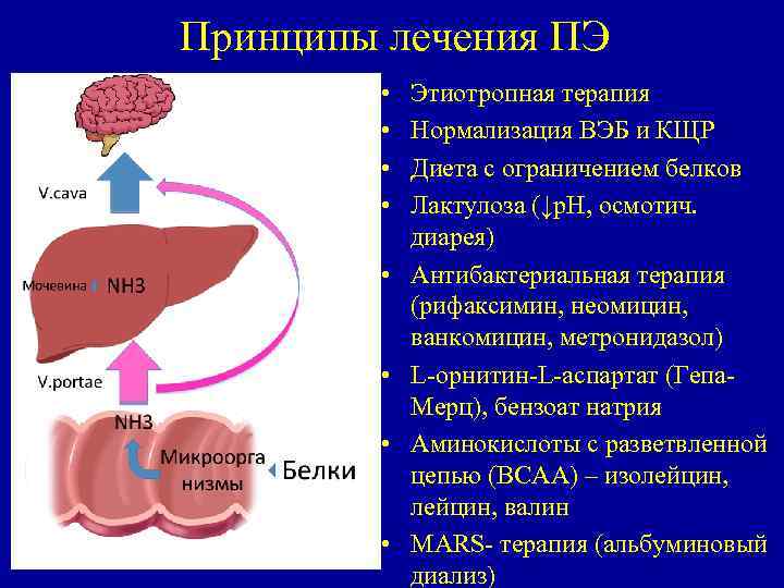 Принципы лечения ПЭ • • Этиотропная терапия Нормализация ВЭБ и КЩР Диета с ограничением