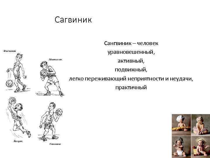 Сагвиник Сангвиник – человек уравновешенный, активный, подвижный, легко переживающий неприятности и неудачи, практичный 