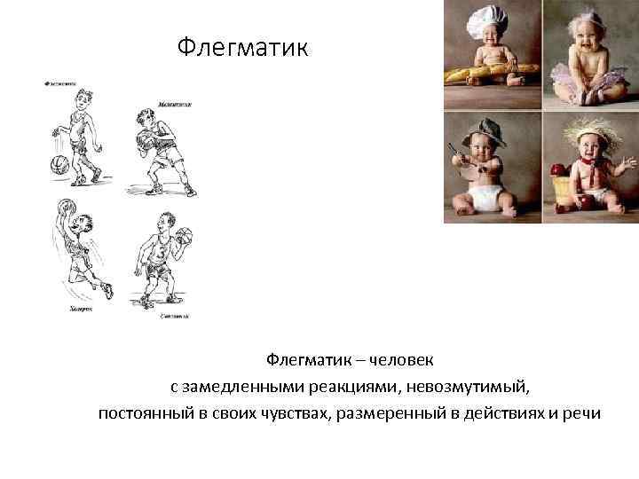 Флегматик – человек с замедленными реакциями, невозмутимый, постоянный в своих чувствах, размеренный в действиях
