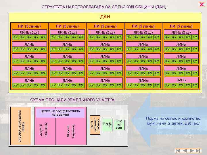  СТРУКТУРА НАЛОГООБЛАГАЕМОЙ СЕЛЬСКОЙ ОБЩИНЫ (ДАН) ДАН ЛИ (5 линь) ЛИ (5 линь) ЛИНЬ