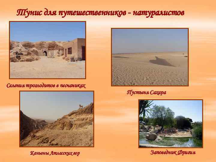 Тунис для путешественников - натуралистов Селения троглодитов в песчаниках Пустыня Сахара Каньоны Атласских гор
