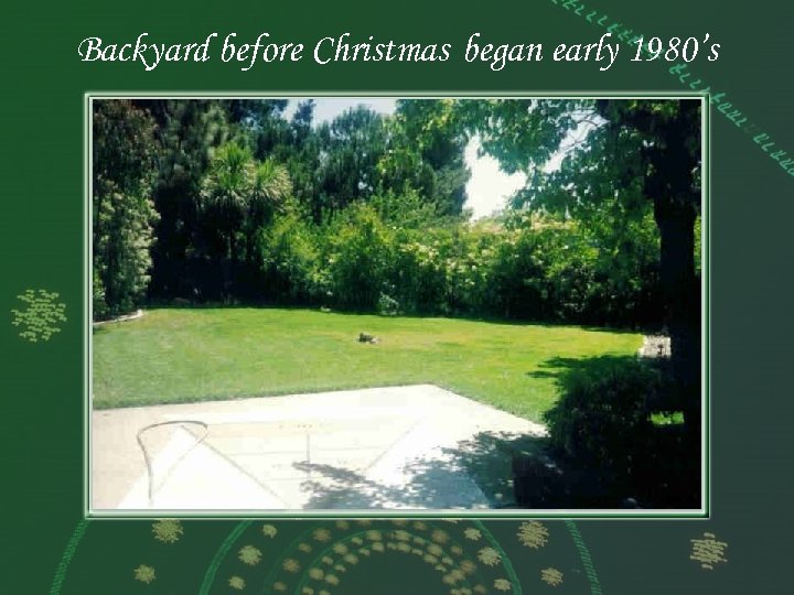 Backyard before Christmas began early 1980’s 