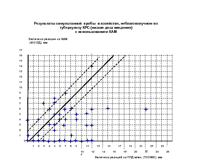 Результаты симультанной пробы в хозяйстве, неблагополучном по туберкулезу КРС (низкая доза введения) с использованием