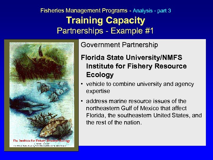 Fisheries Management Programs - Analysis - part 3 Training Capacity Partnerships - Example #1