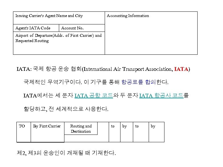 Issuing Carrier's Agent Name and City Agent's IATA Code Accounting Information Account No. Airport