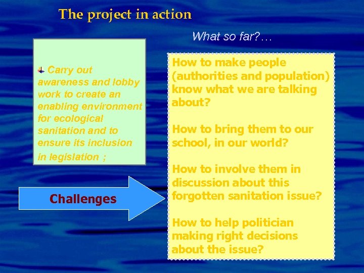 The project in action What so far? … Carry out awareness and lobby work
