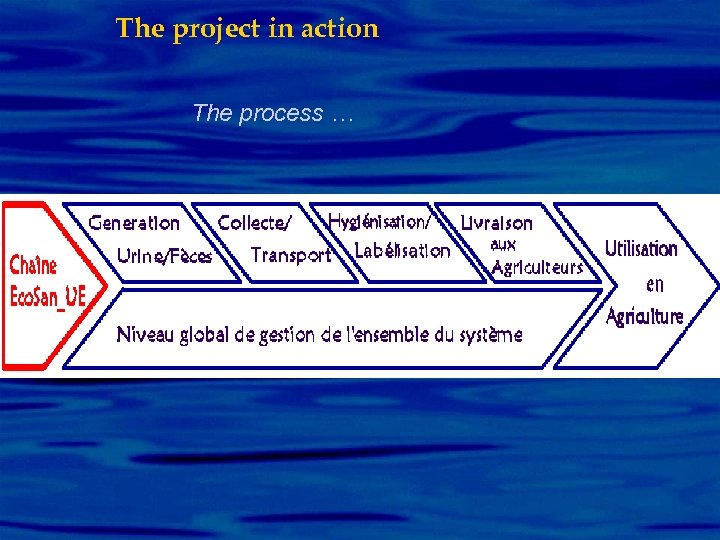 The project in action The process … 