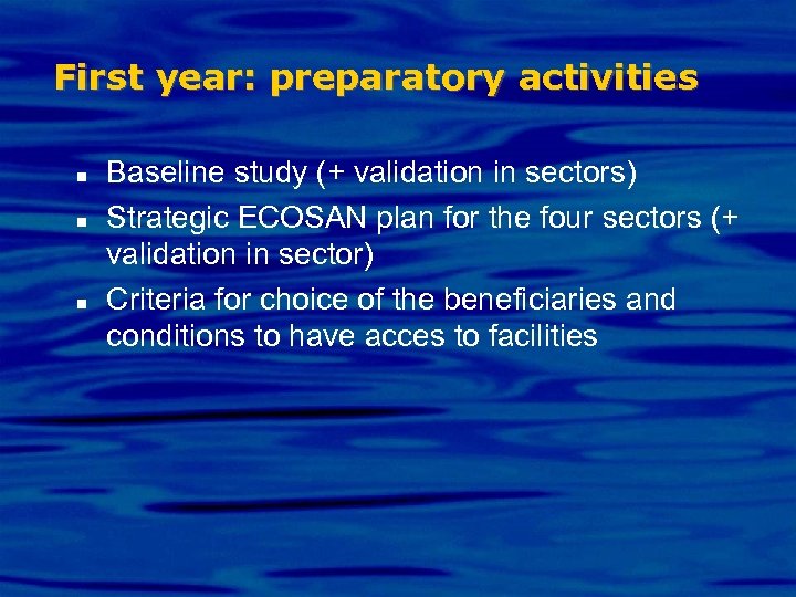 First year: preparatory activities n n n Baseline study (+ validation in sectors) Strategic
