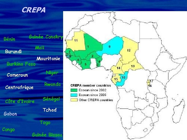 CREPA Bénin Guinée Conakry Mali Burundi Burkina Faso Niger Cameroun Centrafrique Côte d’Ivoire Gabon