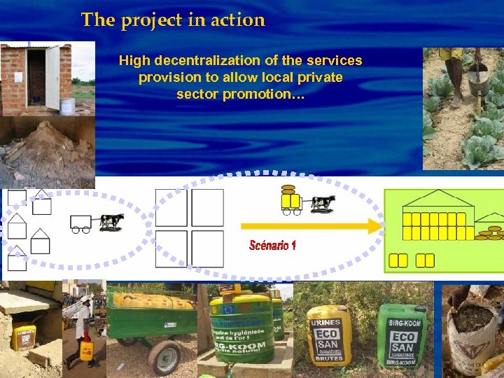 The project in action High decentralization of the services provision to allow local private