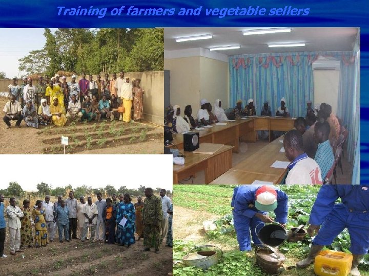 Training of farmers and vegetable sellers 