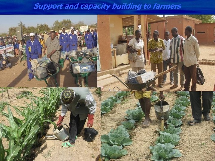 Support and capacity building to farmers MACO, Kit de matériel agricole remis 