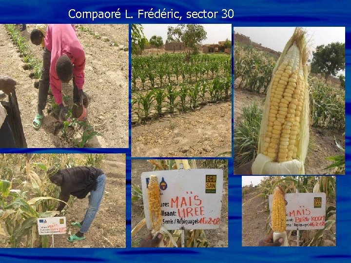 Compaoré L. Frédéric, sector 30 