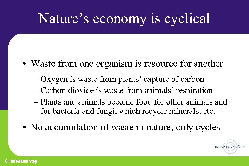 Nature’s economy is cyclical • Waste from one organism is resource for another –