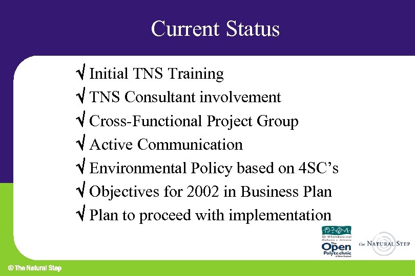 Current Status Initial TNS Training TNS Consultant involvement Cross-Functional Project Group Active Communication Environmental