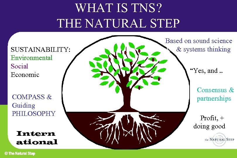 WHAT IS TNS ? THE NATURAL STEP SUSTAINABILITY: Environmental Social Economic COMPASS & Guiding