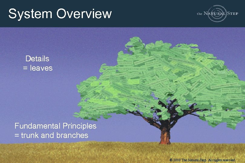 System Overview Details = leaves Fundamental Principles = trunk and branches © 2000 The