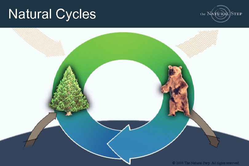 Natural Cycles © 2000 The Natural Step. All rights reserved. 