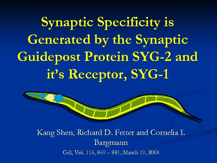 Synaptic Specificity is Generated by the Synaptic Guidepost Protein SYG-2 and it’s Receptor, SYG-1
